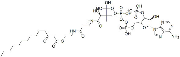 [(2R,3S,4R,5R)-5-(6-aminopurin-9-yl)-4-hydroxy-2-[[hydroxy-[hydroxy-[(3R)-3-hydroxy-2,2-dimethyl-3-[2-[2-(3-oxotetradecanoylsulfanyl)ethylcarbamoyl]ethylcarbamoyl]propoxy]phosphoryl]oxy-phosphoryl]oxymethyl]oxolan-3-yl]oxyphosphonic acid 结构式