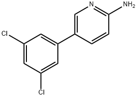 5-(3,5-Dichlorophenyl)pyridin-2-aMine 结构式
