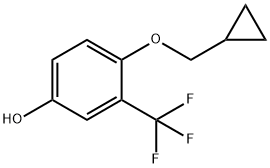 2-三氟甲基-4-羟基苯基环丙基醚 结构式