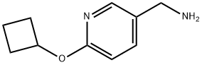 (6-环丁氧基吡啶-3-基)甲胺 结构式