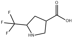 5-(三氟甲基)吡咯烷-3-羧酸 结构式