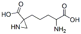 2-(4-amino-4-carboxybutyl)-2-aziridinecarboxylic acid 结构式