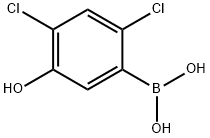 24-二氯-5-羟基苯硼酸 结构式