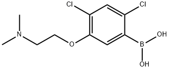 24-二氯-5-(2-(二甲基氨基)乙氧基)苯硼酸 结构式