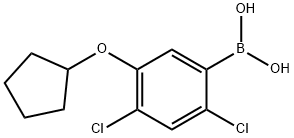 24-二氯-5-(环戊基氧基)苯硼酸 结构式