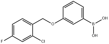 3-(2-Chloro-4-fluorophenylMethoxy)phenylboronic acid 结构式