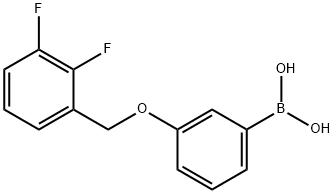 3-(2,3-DifluorophenylMethoxy)phenylboronic acid 结构式