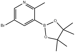 5-溴-2-甲基吡啶-3-硼酸频哪醇酯 结构式