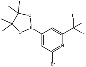 2-溴-6-三氟甲基吡啶-4-硼酸频那醇酯 结构式