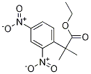 2-甲基-2-(2,4-二硝基苯基)丙酸乙酯 结构式