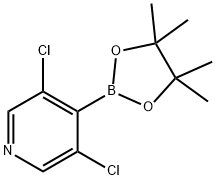 2,3-二氯-4-吡啶硼酸频那醇酯 结构式
