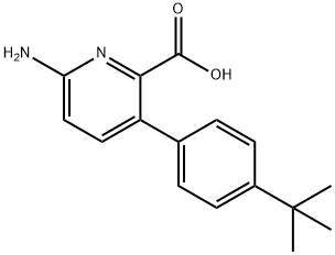 6-氨基-3-(4-叔丁基苯基)吡啶甲酸 结构式