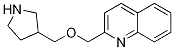 2-[(3-PYRROLIDINYLMETHOXY)METHYL]QUINOLINE 结构式