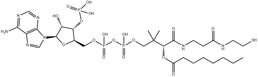 辛酰辅酶A 结构式