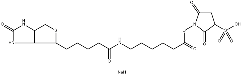 6-[[5-(六氢-2-氧代-1H-噻吩并[3,4-D]咪唑-4-基)-1-氧代戊基]氨基]己酸 2,5-二氧代-3-磺酸-1-吡咯烷基酯钠盐 (1:1) 结构式