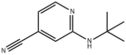 2-(叔丁基氨基)异烟腈 结构式