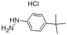 1-(4-叔丁基苯)肼盐酸盐 结构式