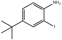 2-碘-4-叔丁基苯胺 结构式