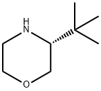 (R)-3-叔丁基吗啉 结构式