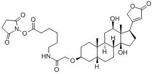 地高辛NHS酯 结构式