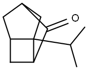 Tricyclo[3.2.1.03,6]octan-2-one, 6-(1-methylethyl)- (9CI) 结构式