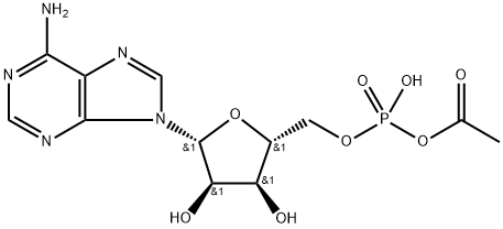 acetyl adenylate 结构式