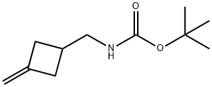 Carbamic acid, [(3-methylenecyclobutyl)methyl]-, 1,1-dimethylethyl ester (9CI) 结构式
