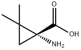 (R)-1-氨基-2,2-二甲基环丙烷羧酸 结构式