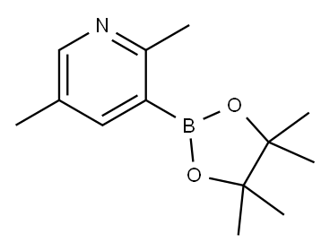 2,5-二甲基-3-吡啶硼酸片呐酯 结构式