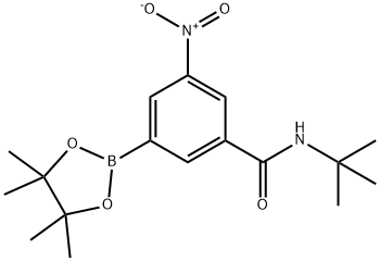 BenzaMide, N-(1,1-diMethylethyl)-3-nitro-5-(4,4,5,5-tetraMethyl-1,3,2-dioxaborolan-2-yl)- 结构式