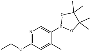 2-乙氧基-4-甲基-5-(4,4,5,5-四甲基-1,3,2-二氧杂环戊硼烷-2-基)吡啶 结构式
