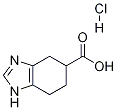 4,5,6,7-四氢-1H-苯并咪唑-5-甲酸盐酸盐 结构式