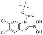 1-BOC-5,6-二氯-1H-吲哚-2-硼酸 结构式