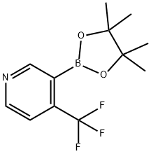 4-(三氟甲基)吡啶-3-硼酸频那醇酯 结构式