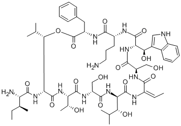 janthinocin A