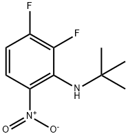 N-叔丁基-2,3-二氟-6-硝基苯胺 结构式