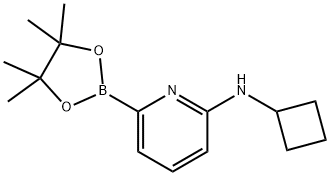 N-环丁基-6-(4,4,5,5-四甲基-1,3,2-二氧杂硼杂环戊烷-2-基)吡啶-2-胺 结构式