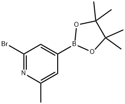 2-溴-6-甲基吡啶-4-硼酸频哪醇酯 结构式