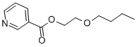 烟酸丁氧基乙酯 结构式