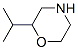 MORPHOLINE, ISOPROPYL- 结构式