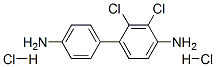 Dichloro-(1,1'-biphenyl)-4,4'-diamine dihydrochloride 结构式