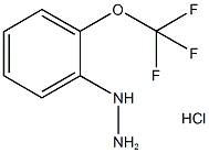 2-三氟甲氧基苯肼(HCL) 结构式