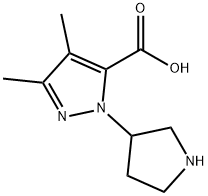 3,4-二甲基-1-(3-吡咯烷基)-1H-吡唑-5-甲酸 结构式