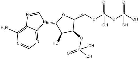 adenosine 3'-phosphate 5'-diphosphate 结构式