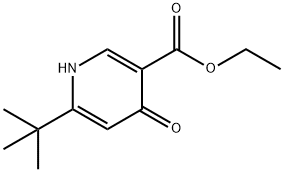 6-叔丁基-4-氧代-1,4-二氢吡啶-3-羧酸乙酯 结构式