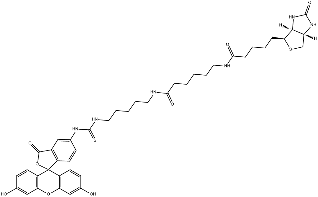 FLUORESCEIN BIOTIN [5-((N-(5-(N-(6-(BIOTINOYL)AMINO)HEXANOYL)AMINO)PENTYL)THIOUREIDYL)FLUORESCEIN] 结构式