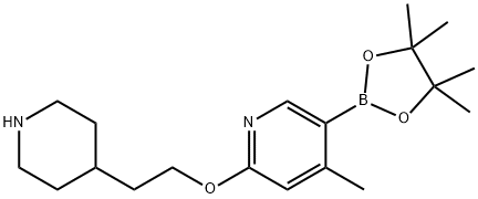 4-Methyl-2-(2-(piperidin-4-yl)ethoxy)-5-(4,4,5,5-tetraMethyl-1,3,2-dioxaborolan-2-yl)pyridine 结构式