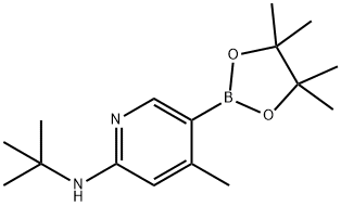 N-tert-butyl-4-Methyl-5-(4,4,5,5-tetraMethyl-1,3,2-dioxaborolan-2-yl)pyridin-2-aMine 结构式