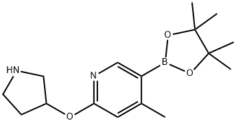 4-Methyl-2-(pyrrolidin-3-yloxy)-5-(4,4,5,5-tetraMethyl-1,3,2-dioxaborolan-2-yl)pyridine 结构式