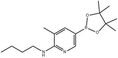 N-butyl-3-Methyl-5-(4,4,5,5-tetraMethyl-1,3,2-dioxaborolan-2-yl)pyridin-2-aMine 结构式